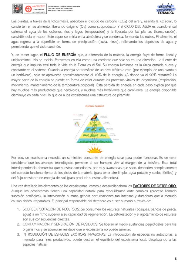 Tema 9 de Primaria: desarrollo